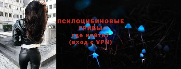 дживик Алексин